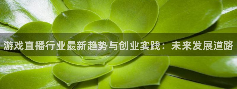 运达娱乐app下载