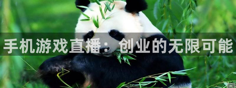 运达娱乐2登录